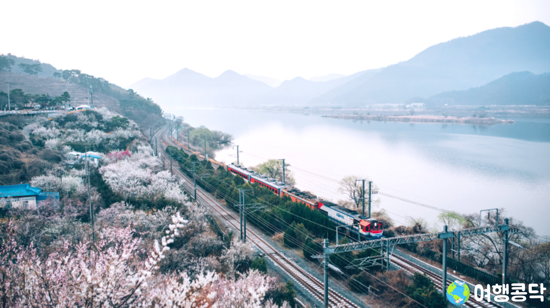 양산 순매원