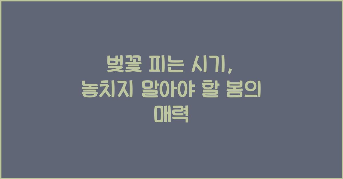 벚꽃 피는 시기