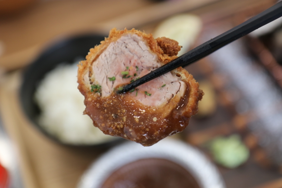 돔 종류이름 극찬했던 일산 9