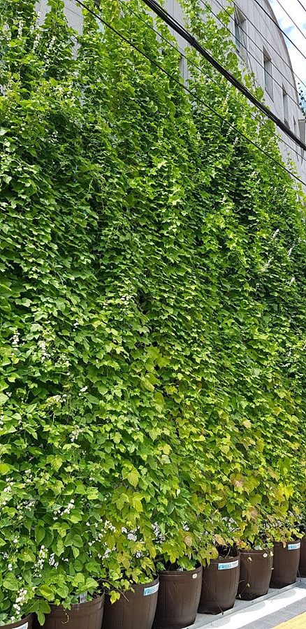 kbs1tv 다큐온 KBS1TV // 회천3동 생태그늘막 16