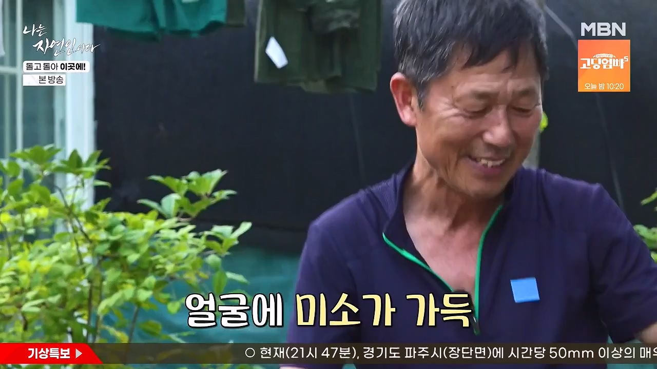 나는 자연인이다.E614.240718p-NEXT.mp4_20240718_195148.974.jpg