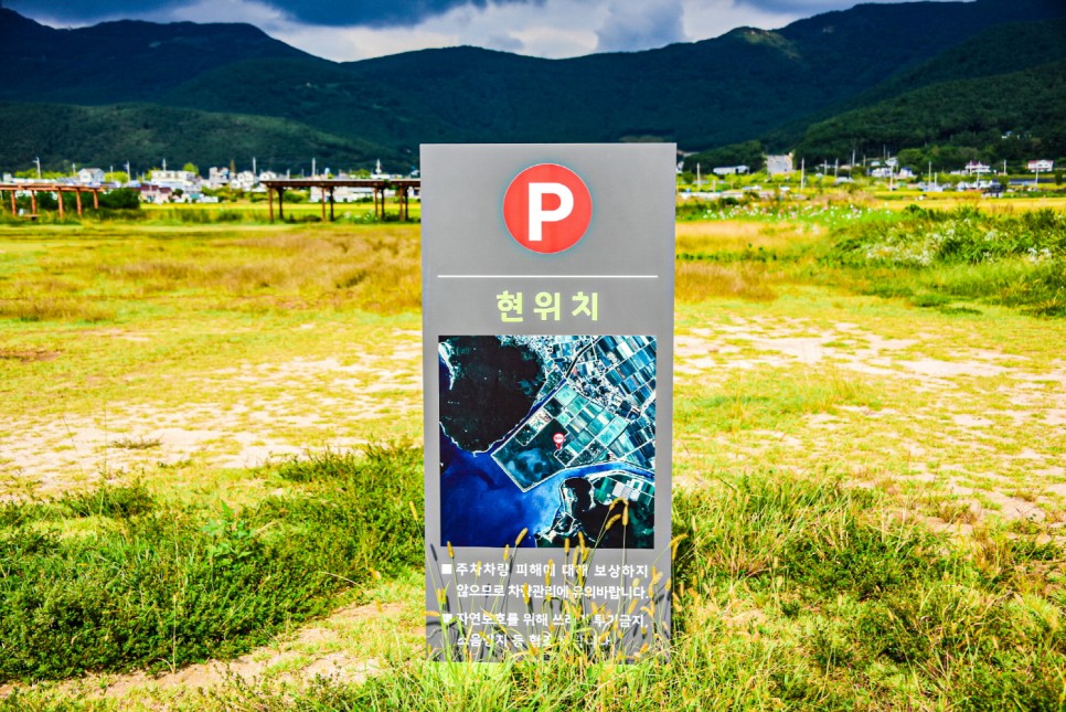 거제 오수마을 갈대밭 가을이 찾아온 7