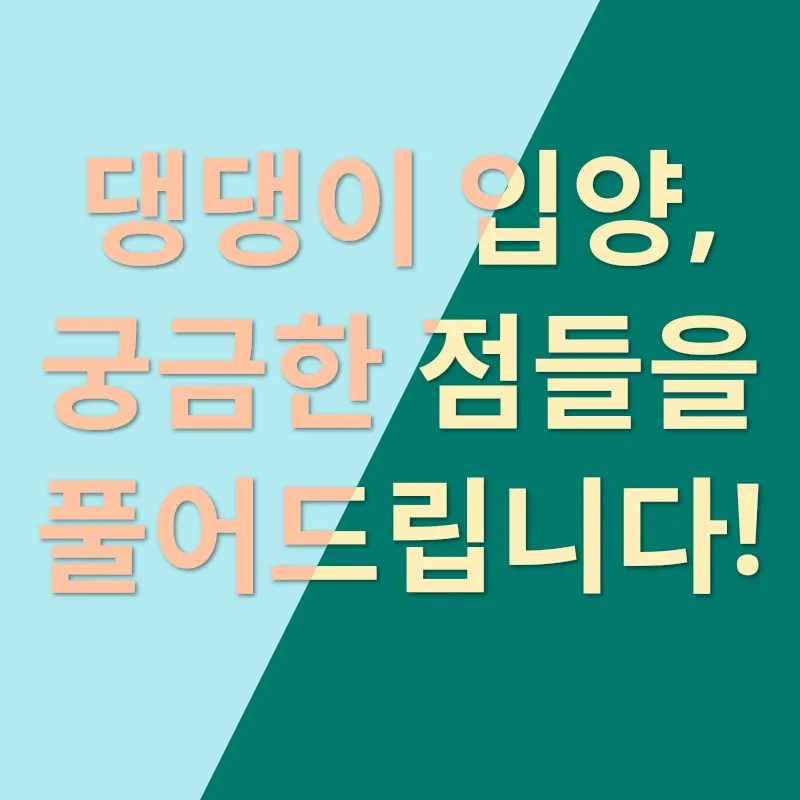 반려견 입양 여정_4
