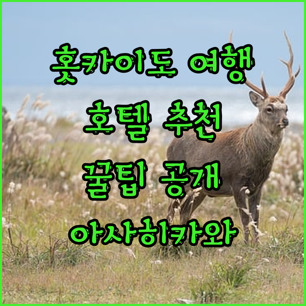 홋카이도 아사히카와 여행 호텔 선택 