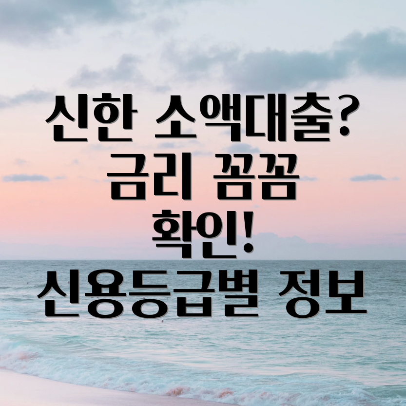 신한은행 소액대출