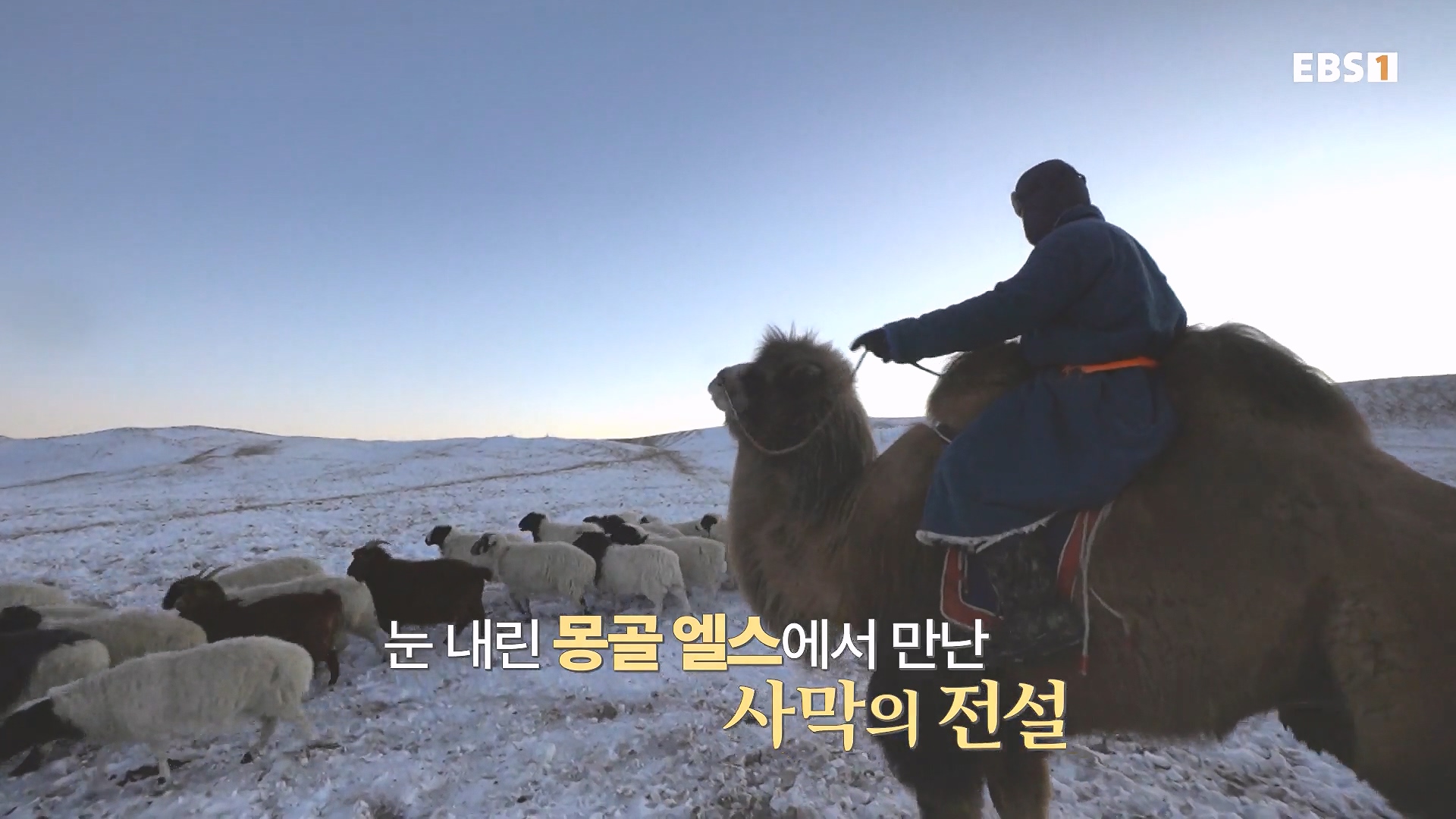 세계테마기행 240215 와일드 몽골 -알타이, 야생의 전설을 찾아서0p.mp4_20240802_201753.753.jpg