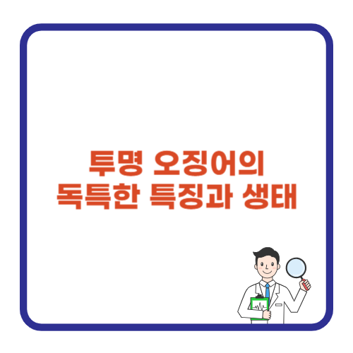 투명 오징어의 독특한 특징과 생태