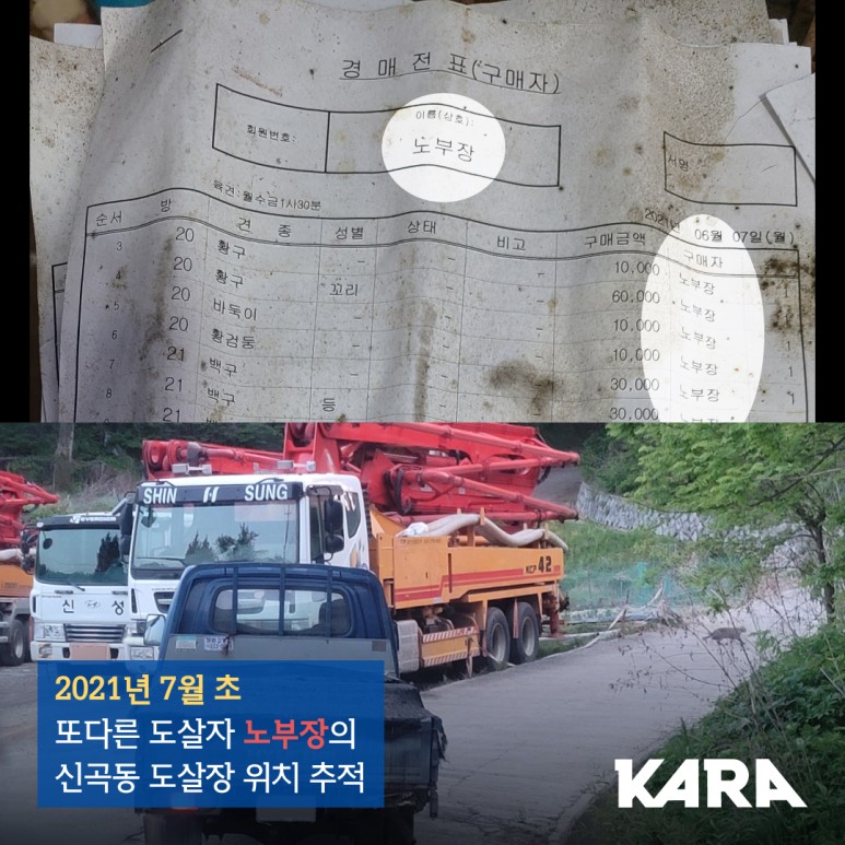 식용 [탄원참여요청] "파주경매장의 도살자들을 찾아서" _ 6