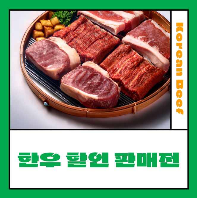 현장 프로그램