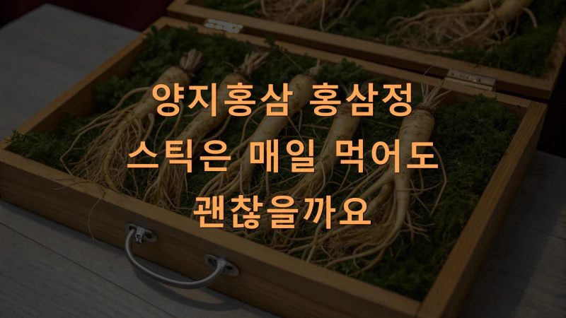 양지홍삼 홍삼정 스틱은 매일 먹어도 괜찮을까요