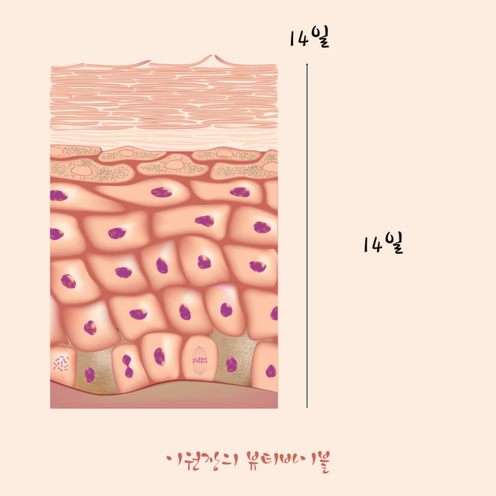 초음파 마사지 효능 초음파마사지 7
