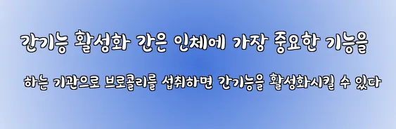  간기능 활성화 간은 인체에 가장 중요한 기능을 하는 기관으로 브로콜리를 섭취하면 간기능을 활성화시킬 수 있다