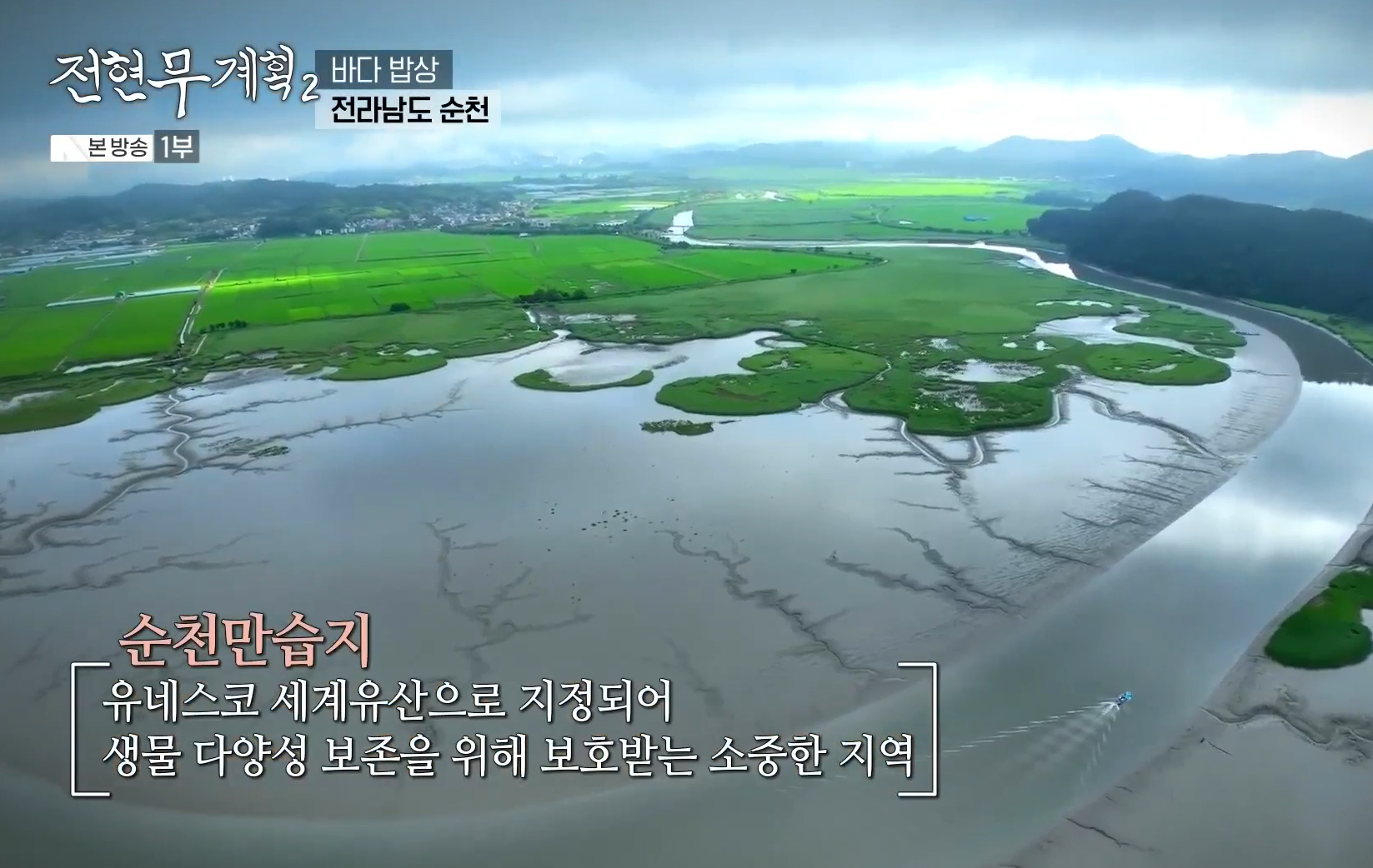 순천만습지