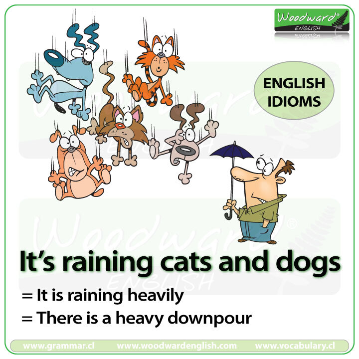 It&#39;s raining cats and dogs. 비바람/폭풍우가 심하다