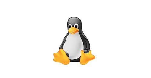 linux ps