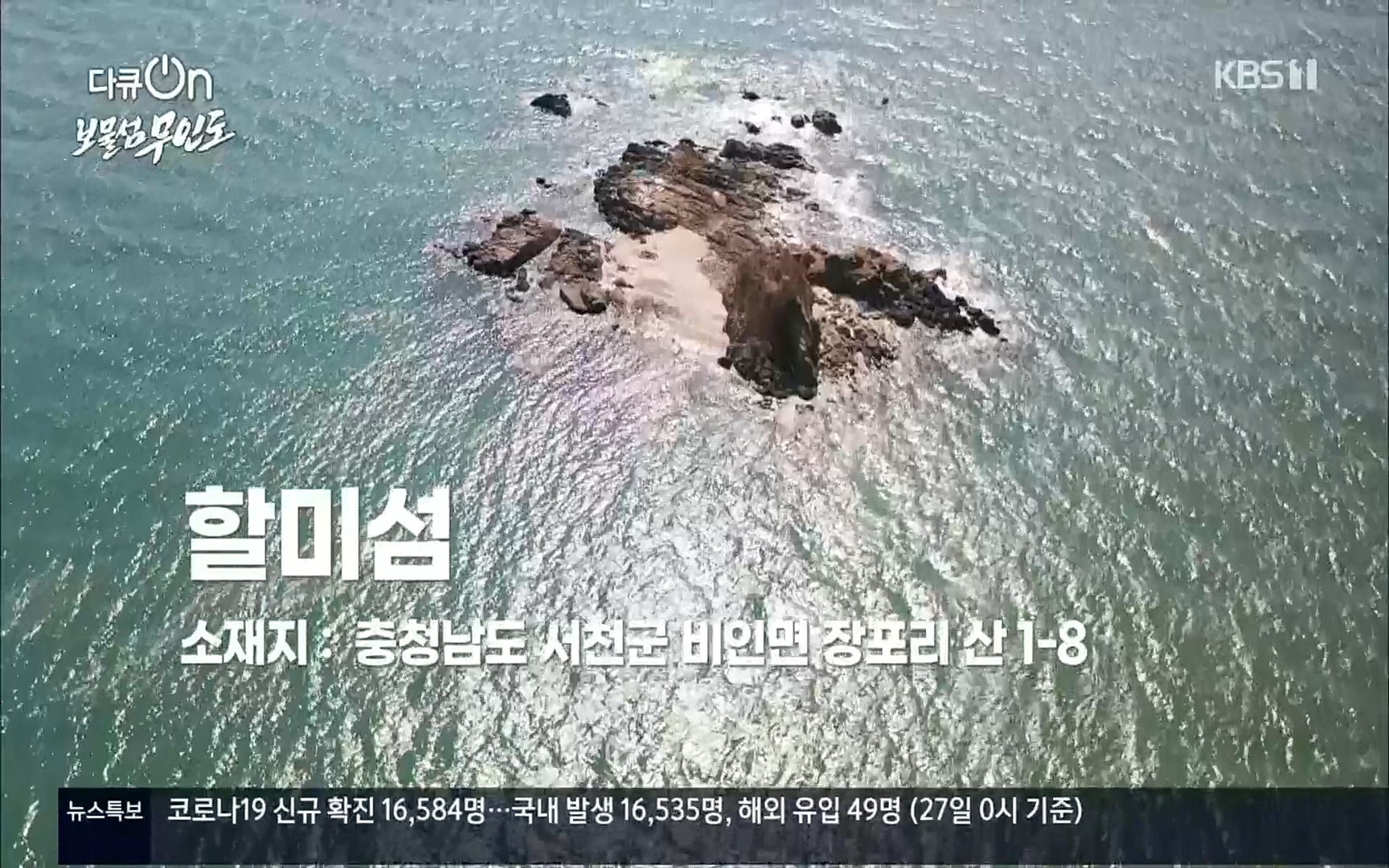 다큐 On.E141p.H264-F1RST.mp4_20220530_202320.437.jpg