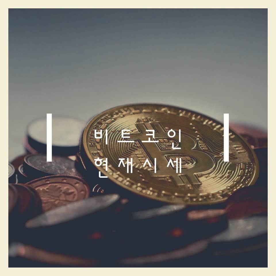 점점 상승세를 타기 시작하는 비트코인
