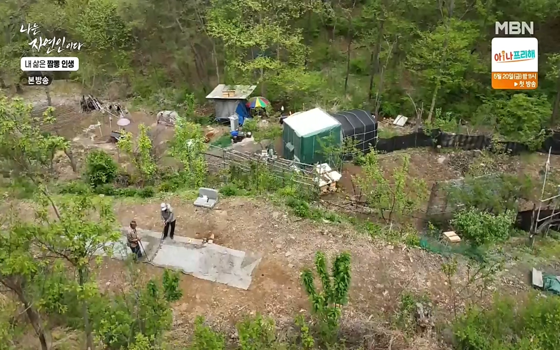 나는 자연인이다.E502.220519p-NEXT.mp4_20220519_182349.983.jpg