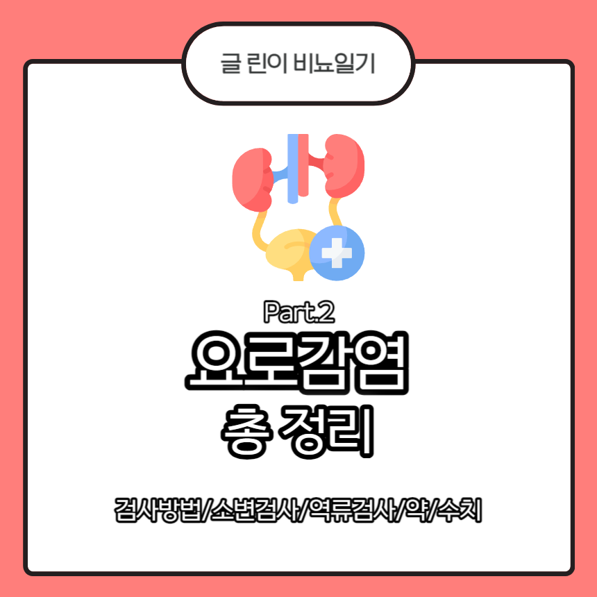  요로감염 총 정리 Part.2 : 검사방법/소변검사/역류검사/약/수치