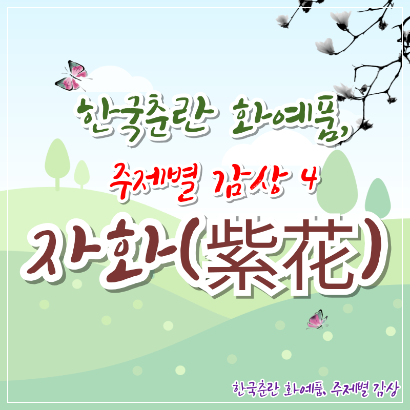 한국춘란 화예품, 주제별 감상 4 - 자화(紫花)