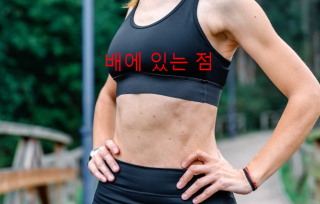  [점의 위치] 배에 있는 점과 그 위치에 따른 관상, 심심풀이
