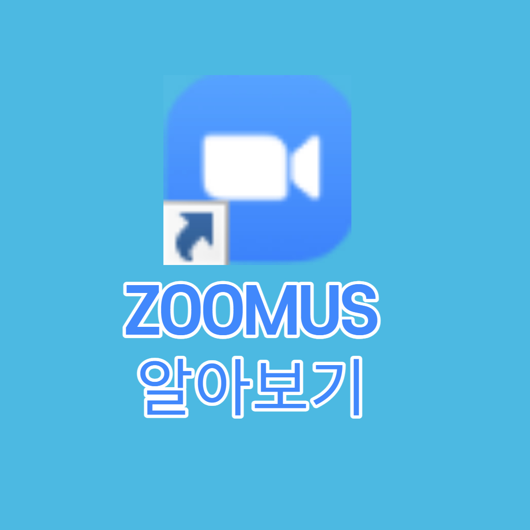 zoom pc english download