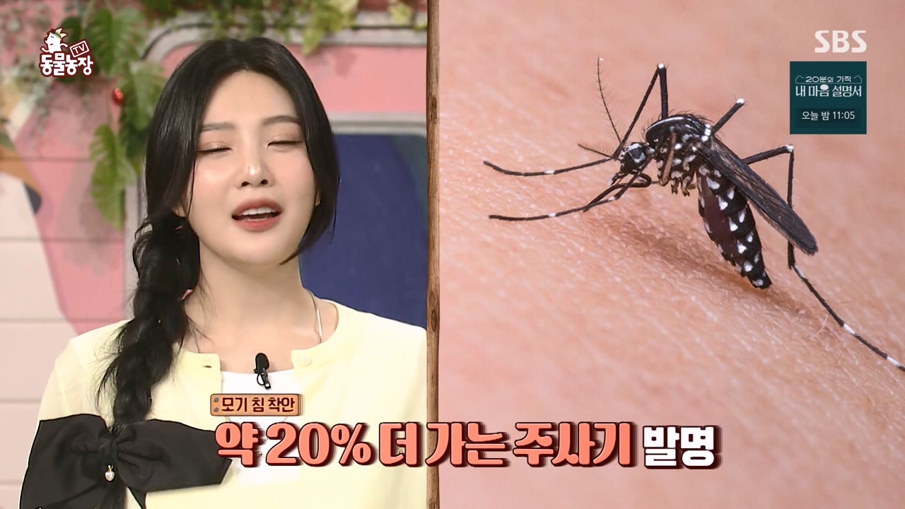 TV 동물농장.E1172.240520p-NEXT.mp4_20240519_165212.282.jpg