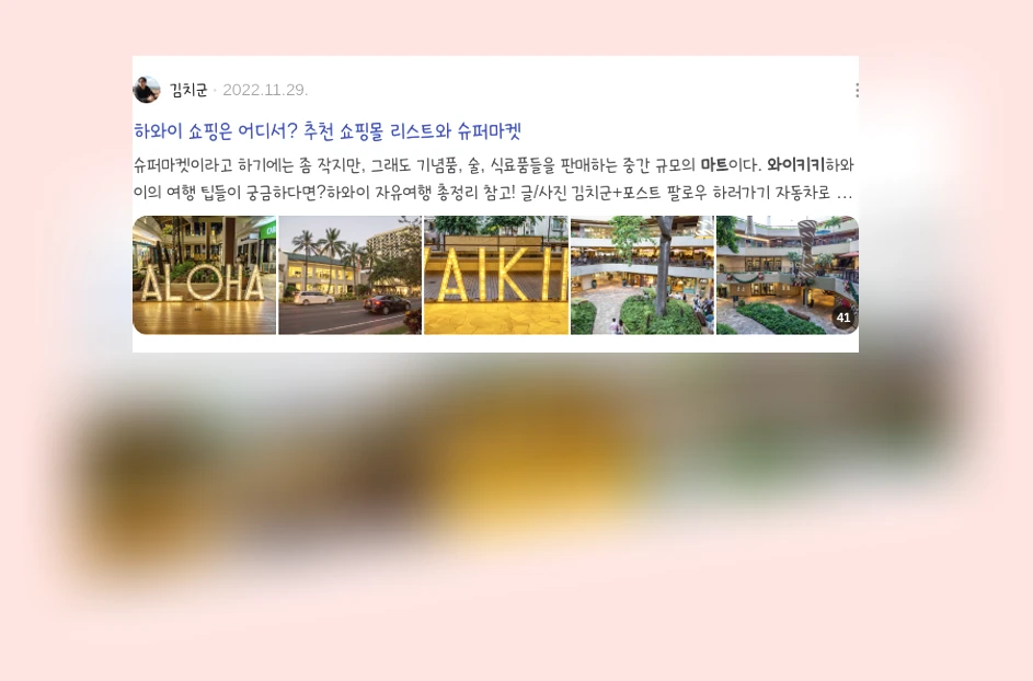 와이키키 타겟 마트_3_subsection