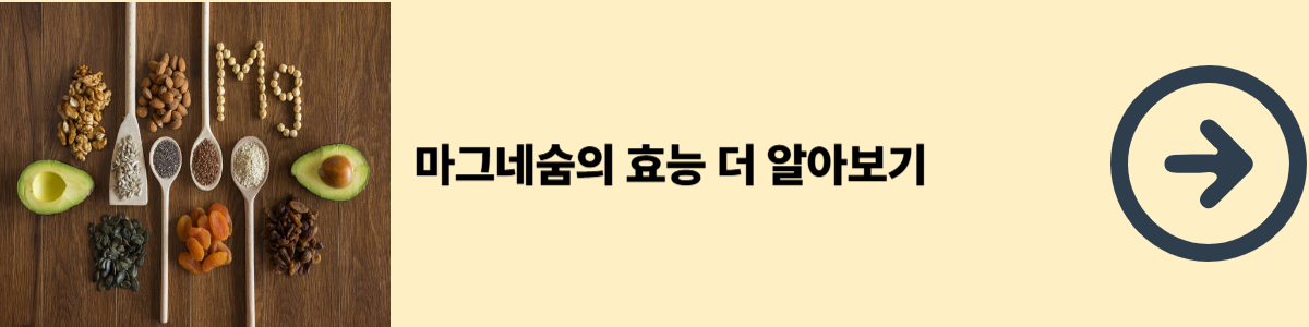 마그네슘 효능 알아보기