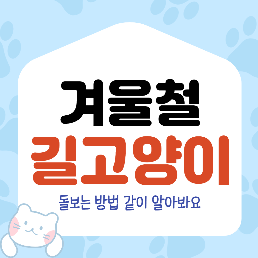  겨울철 길고양이 돌보는 방법 같이 알아봐요!