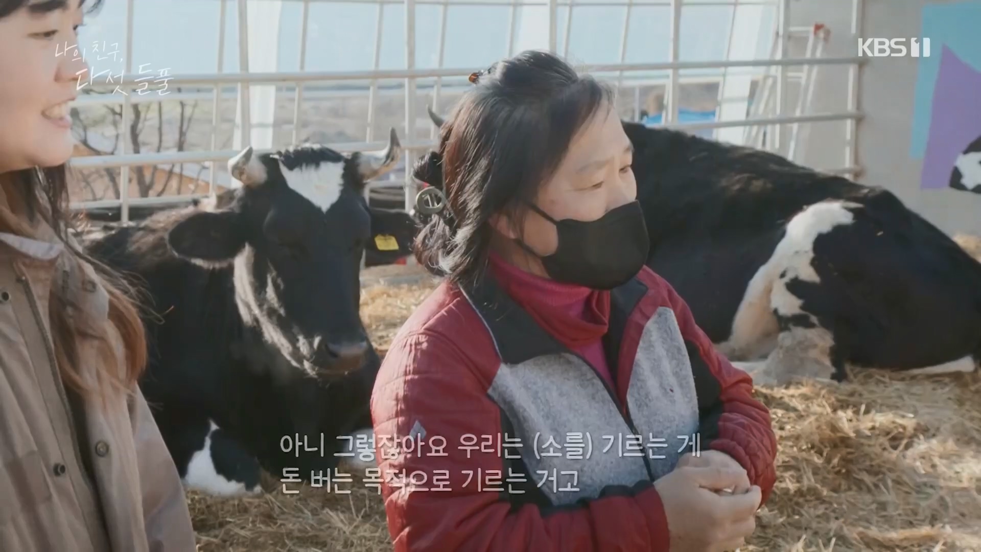 특집 다큐 나의 친구, 다섯 들풀.240119p.H264-F1RST.mp4_20240121_151732.414.jpg