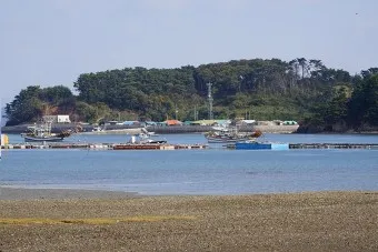 효자도 배시간표 배편 예매 요금 민박_8