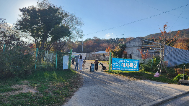 대구 가창 감성카페 대세목장2