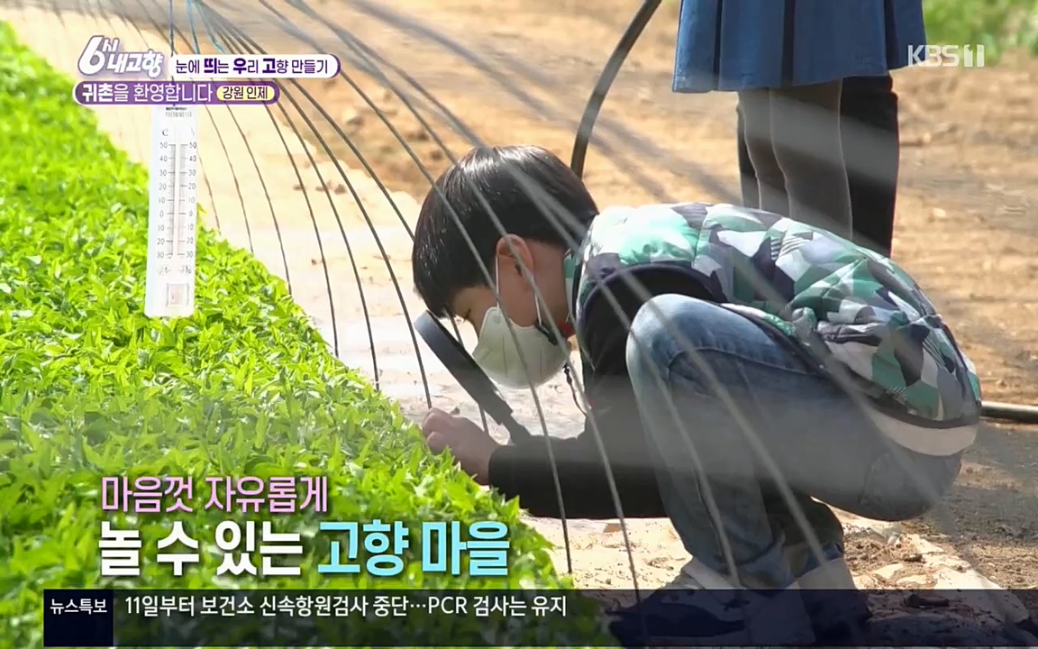 6시 내고향.E7506.220408p.H264-F1RST.mp4_20220412_183228.837.jpg