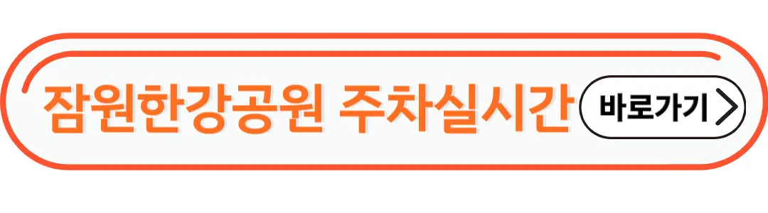 잠원한강공원 실시간