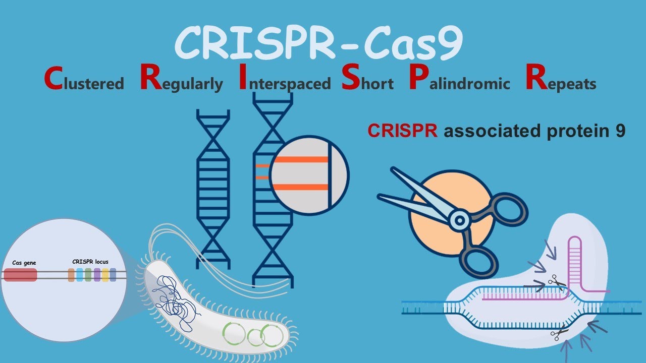 CRISPR-Cas9 유전자 치료 방법