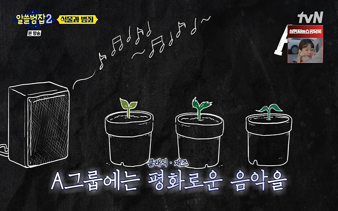 알쓸범잡 2.E15.220425p-NEXT.mp4_20220425_174621.012.jpg