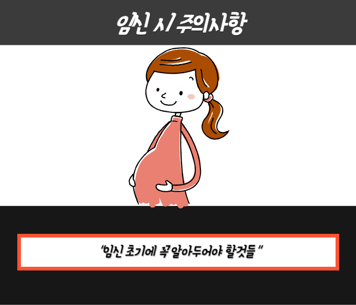 임신 시 주의사항