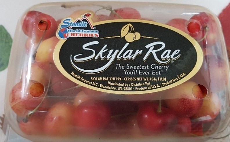 하늘래래 체리 세척 및 따는 방법 하늘래래 체리 포장