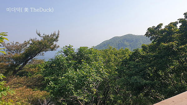 경주 토함산 자연휴양림 산책로 전망대