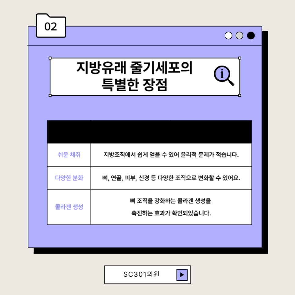 img 줄기세포로 뼈 재생이 가능할까? 지방유래 줄기세포(ADSC) 치료법 | SC301 성형외과 성슐랭 가이드
