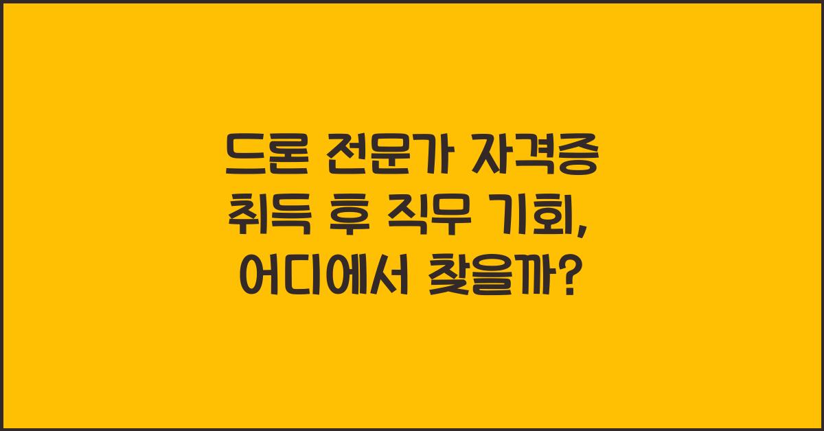 드론 전문가 자격증 취득 후 직무 기회