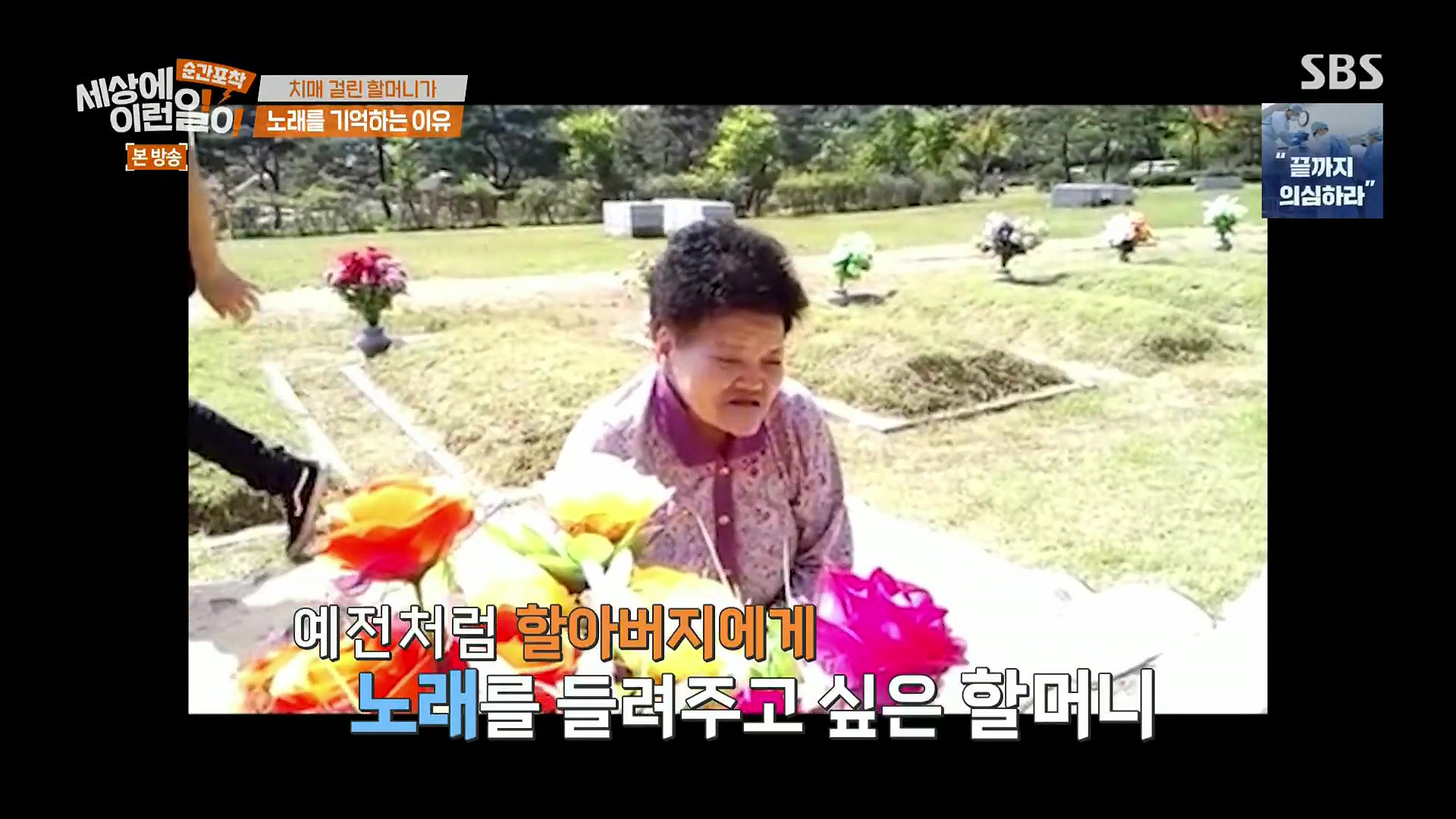 순간포착 세상에 이런일이.E1245.230909p.H264-F1RST.mp4_20230910_170915.101.jpg