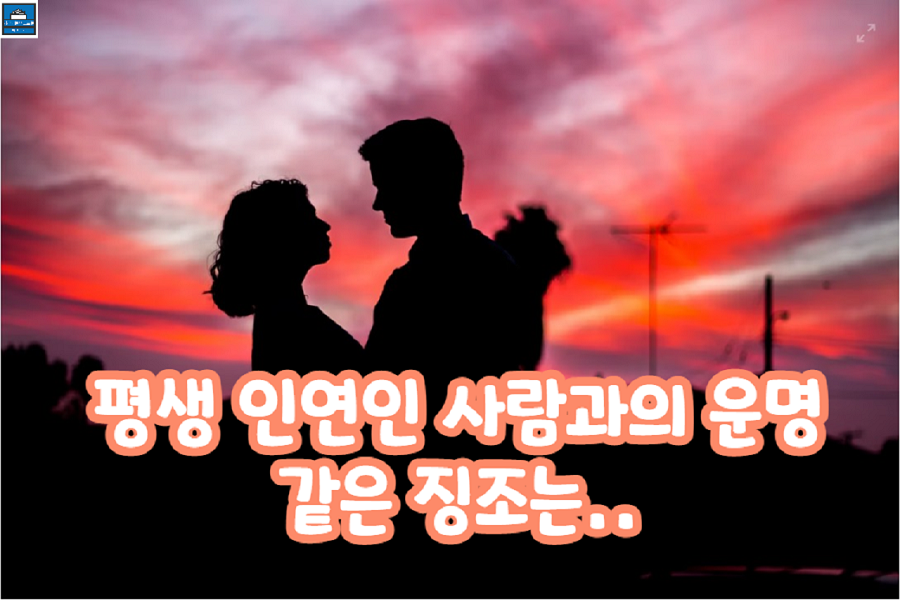 평생 인연인 사람과 만날 운명같은 징조는?