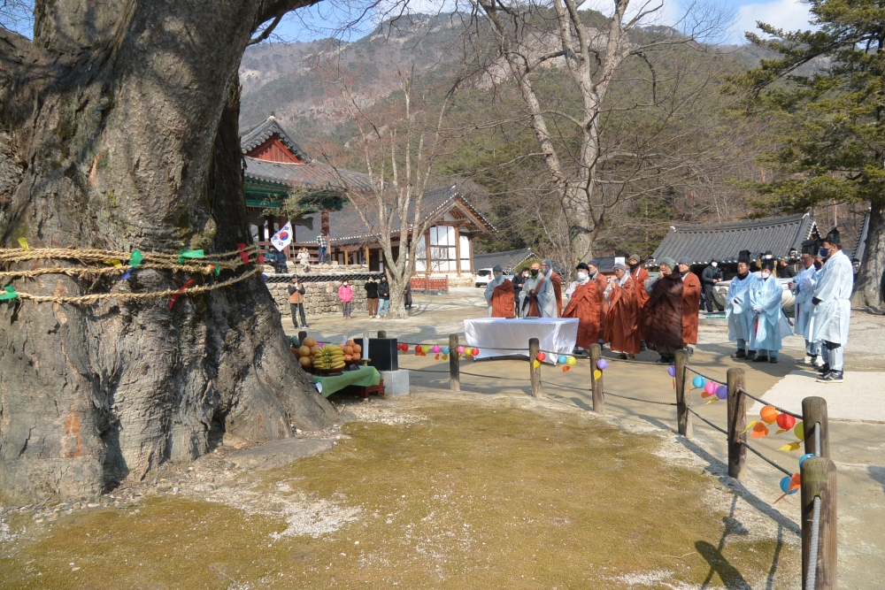 내소사 석포리 당산제 3