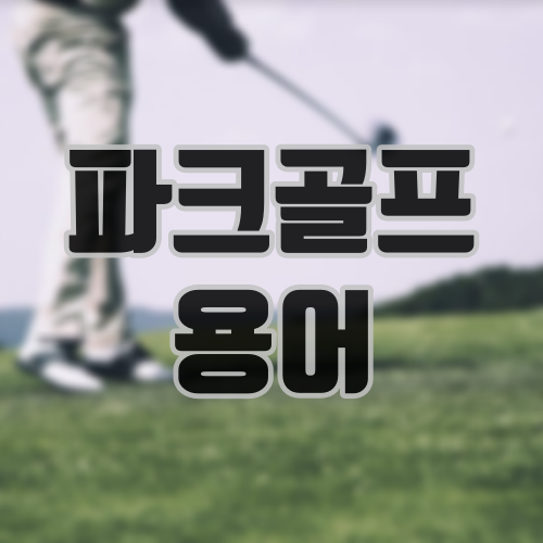 파크골프 용어