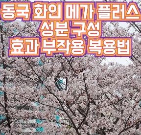 동국화인 메가플러스 포텐시