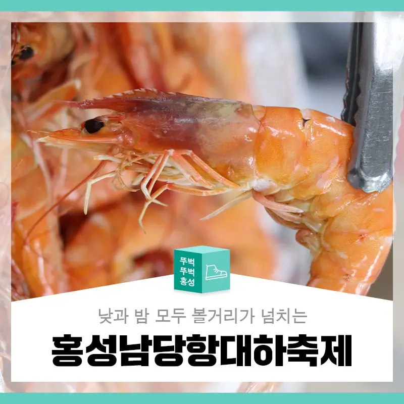 남당항-대하축제