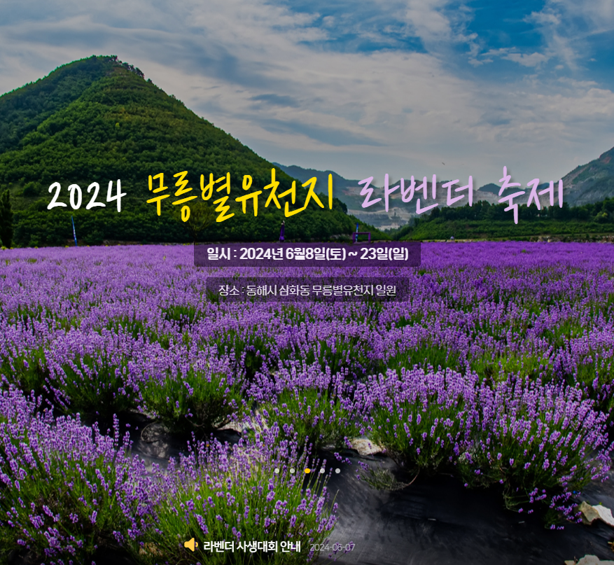 무릉별유천지 라벤더축제 일정 및 주차장