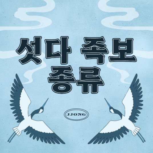 섯다 족보 종류 및 순위